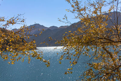 Reflection of trees in lake against clear sky
