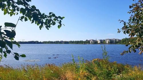 Scenic view of lake against clear blue sky