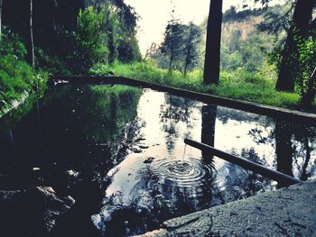 Reflection of trees in lake against sky