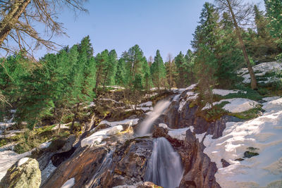 Scenic view of waterfall in forest against sky