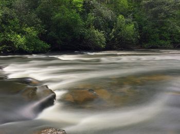 Close-up of waterfall in forest