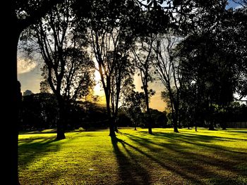 Silhouette trees on field against sky