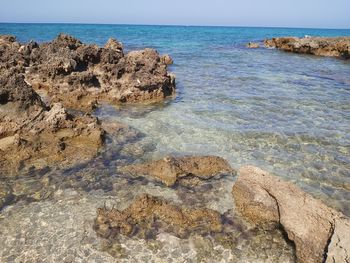 Scenic view of sea shore against sky