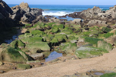 Scenic view of rocks on beach against sky