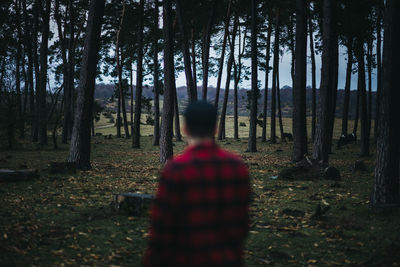 Back view of unrecognizable blurred man in casual wear standing among evergreen coniferous trees in autumn countryside