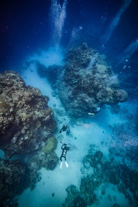 High angle view of scuba divers