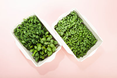 Microgreens in a disposable eco paper box of sunflower seeds. idea for a healthy vegan food delivery