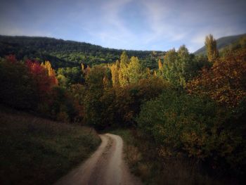 Road passing through landscape