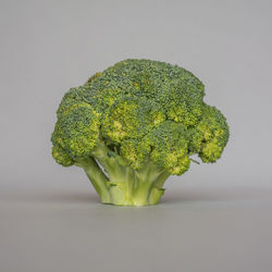 Close-up of green leaf against white background