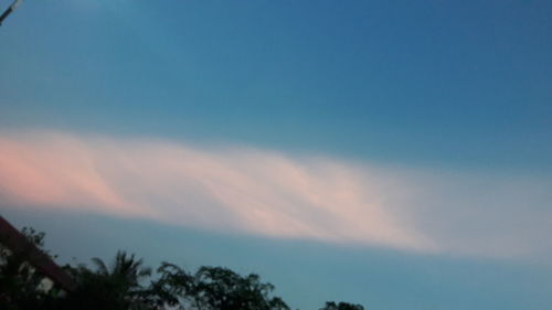 Low angle view of silhouette trees against sky at sunset