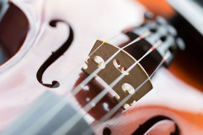 Close-up of violins