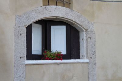 View of potted plants