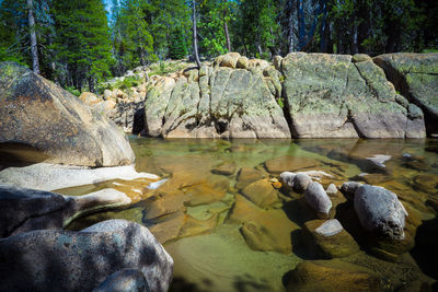 Rocks by river in forest