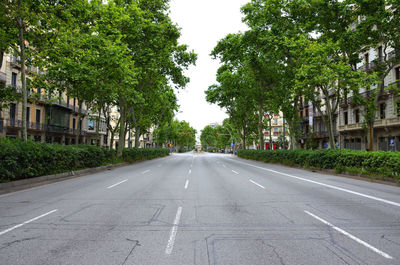 Road amidst trees and buildings in city