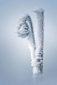 Low angle view of icicles against clear sky