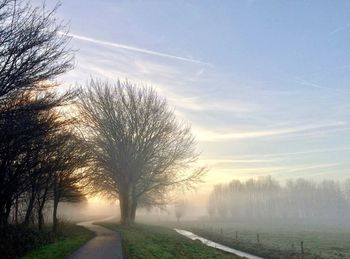 Road amidst bare trees on field against sky