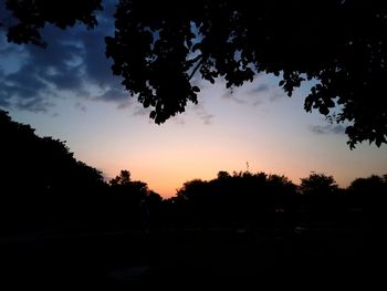 Silhouette trees on field against sky at sunset