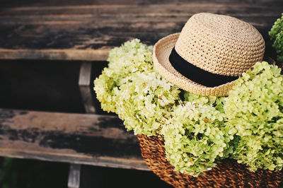 Close-up of fresh white flowers in basket on table