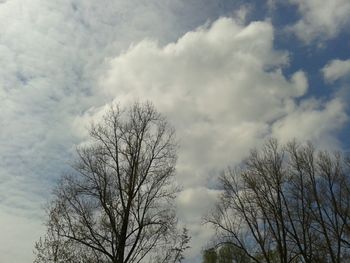 Low angle view of bare tree against cloudy sky