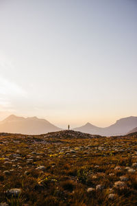 Scenic view of landscape against sky during sunset