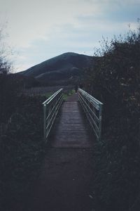 Footbridge over trees against sky