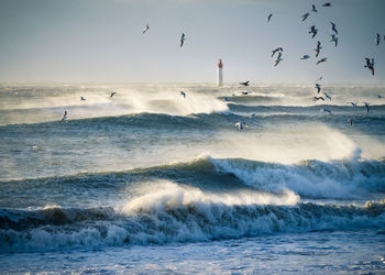 Lighthouse in the sea during windstorm with seagulls. blue sky and beautiful waves