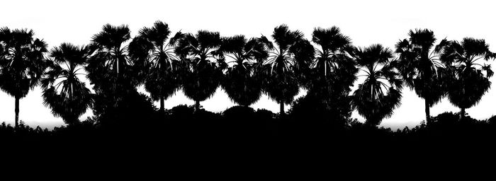 Low angle view of silhouette trees against clear sky
