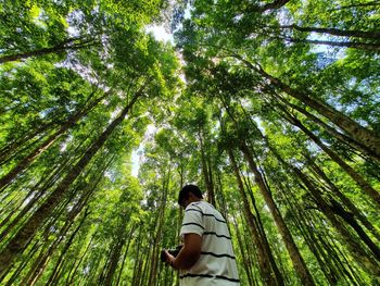 Low angle view of man in forest