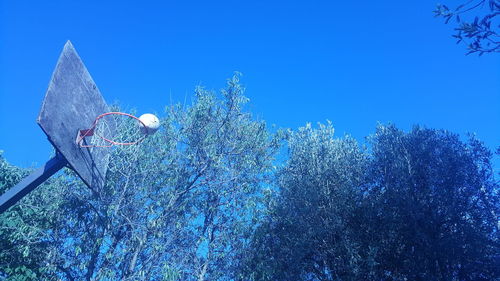 Low angle view of trees against blue sky