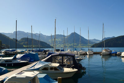 Sailboats moored at harbor against clear sky