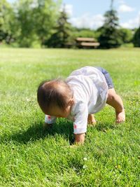 Baby girl crawling on grassy land
