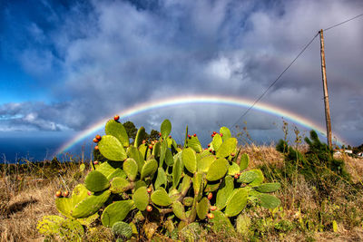 Scenic view of rainbow against sky