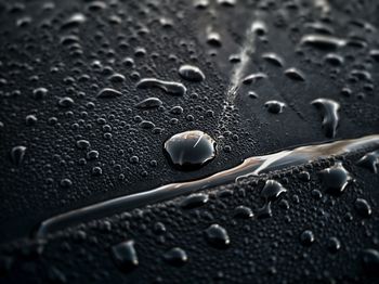 Full frame shot of wet car roof during rainy season