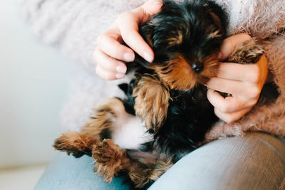 Close-up of woman holding dog at home