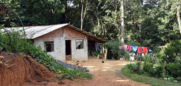 House by road amidst trees and buildings