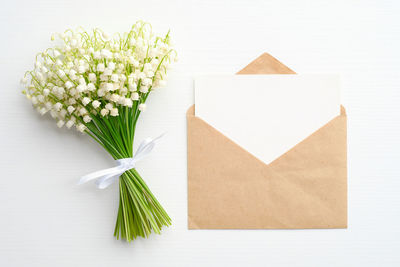 Directly above shot of white flowers on table