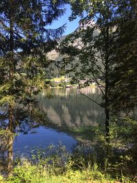 Reflection of trees in lake against sky