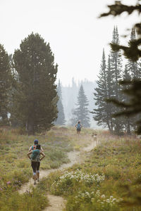 Rear view of friends with dogs walking on field against sky in forest