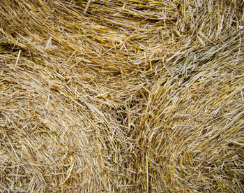 Full frame shot of hay bales on landscape
