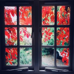 Close-up of glass window