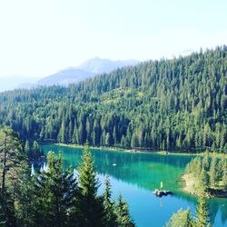 Scenic view of lake and trees against sky