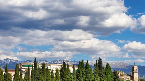 Panoramic view of trees and houses against sky