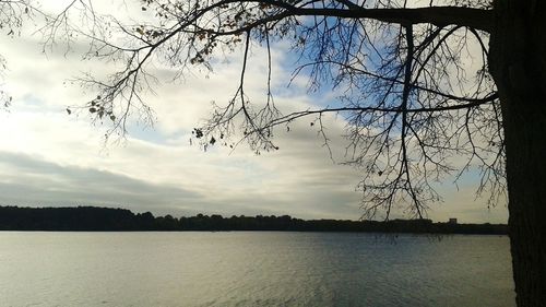 Silhouette trees by calm lake against sky