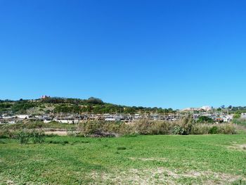 Scenic view of field against clear blue sky