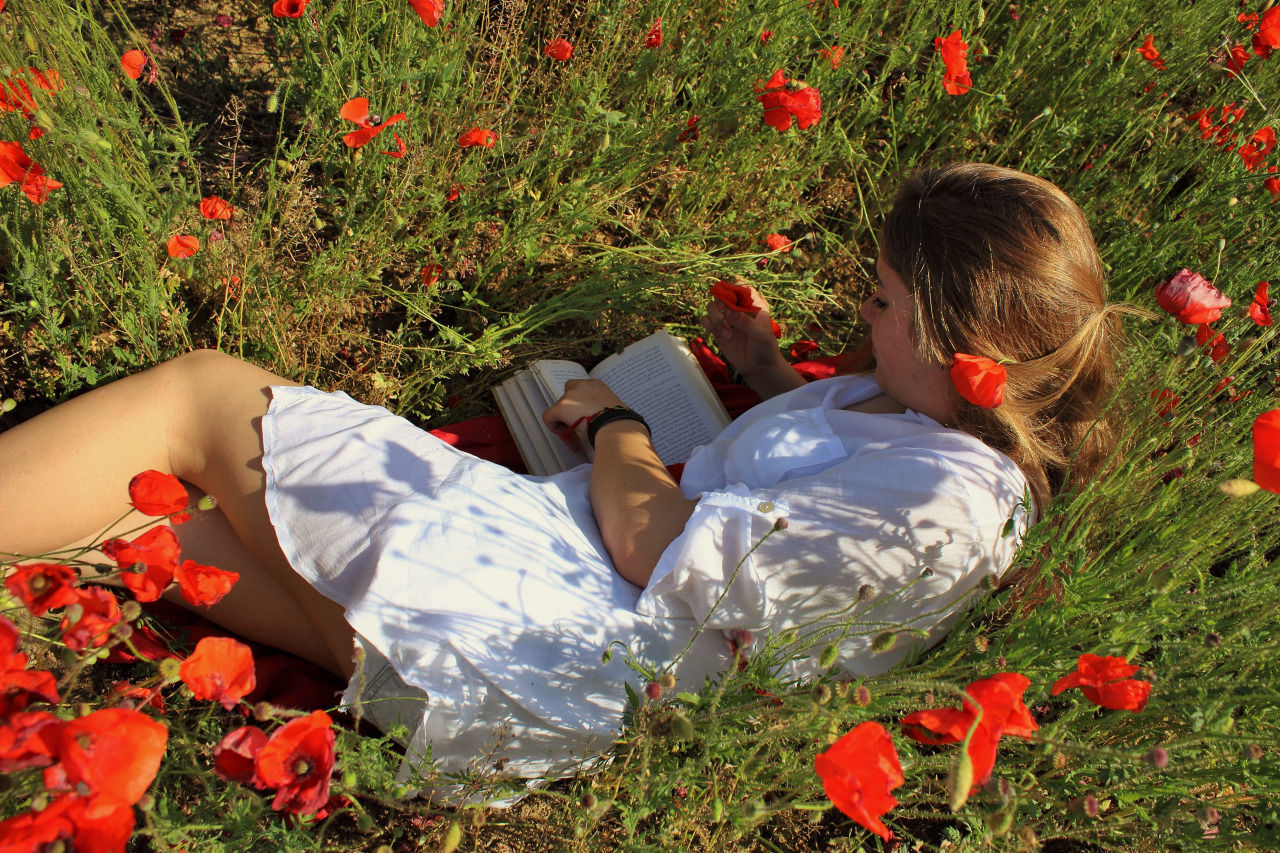 lifestyles, leisure activity, flower, high angle view, togetherness, bonding, person, grass, casual clothing, red, field, sitting, plant, love, standing, growth