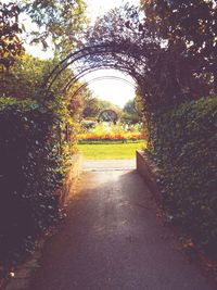 Footpath in park