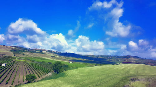 Panoramic view of agricultural field against sky