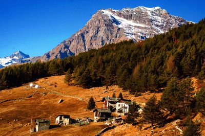 Mountain by trees against clear blue sky