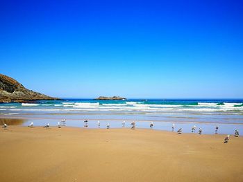 Scenic view of beach against clear blue sky