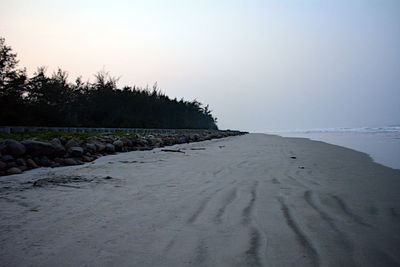 Surface level of sand on beach against clear sky